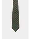 Green Silk Printed Tie